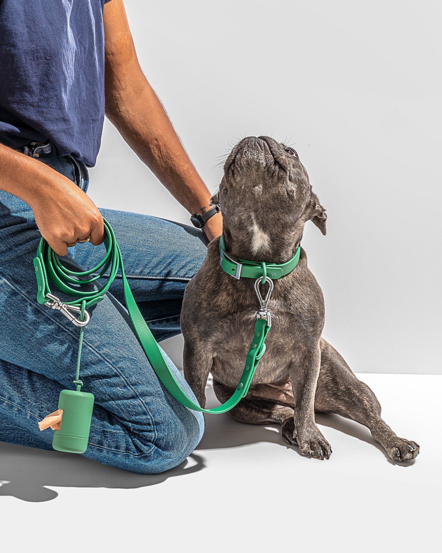 Collars And Leashes