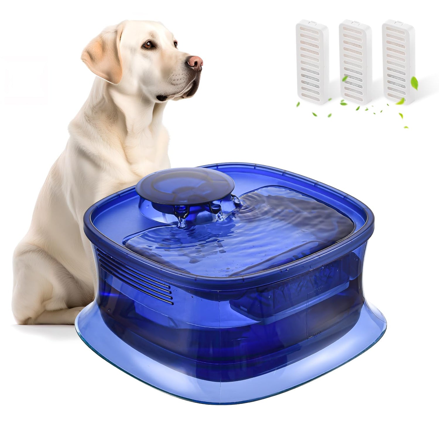 Water Bowls