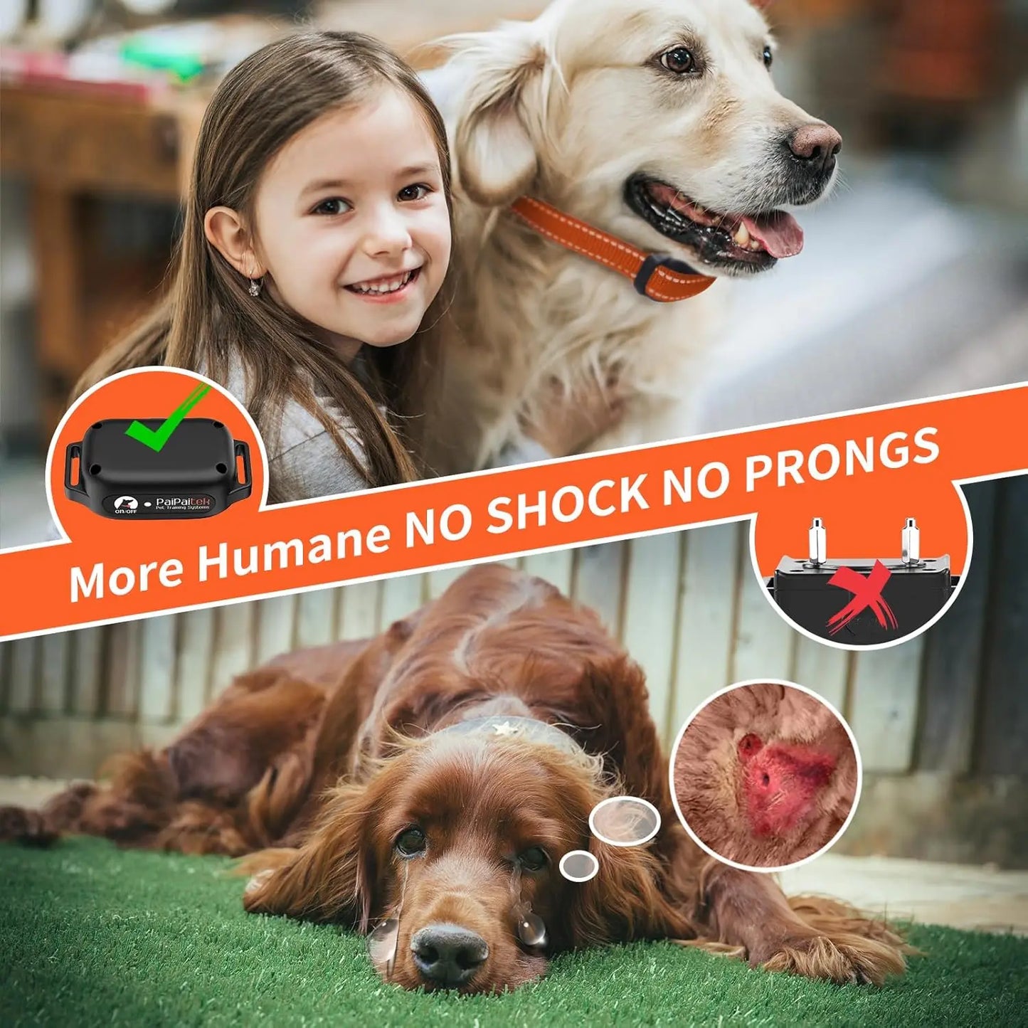 Waterproof Dog Training Collar with Remote, Vibration & Beep Only, No Shock, Adjustable for Dogs 5-120 lbs