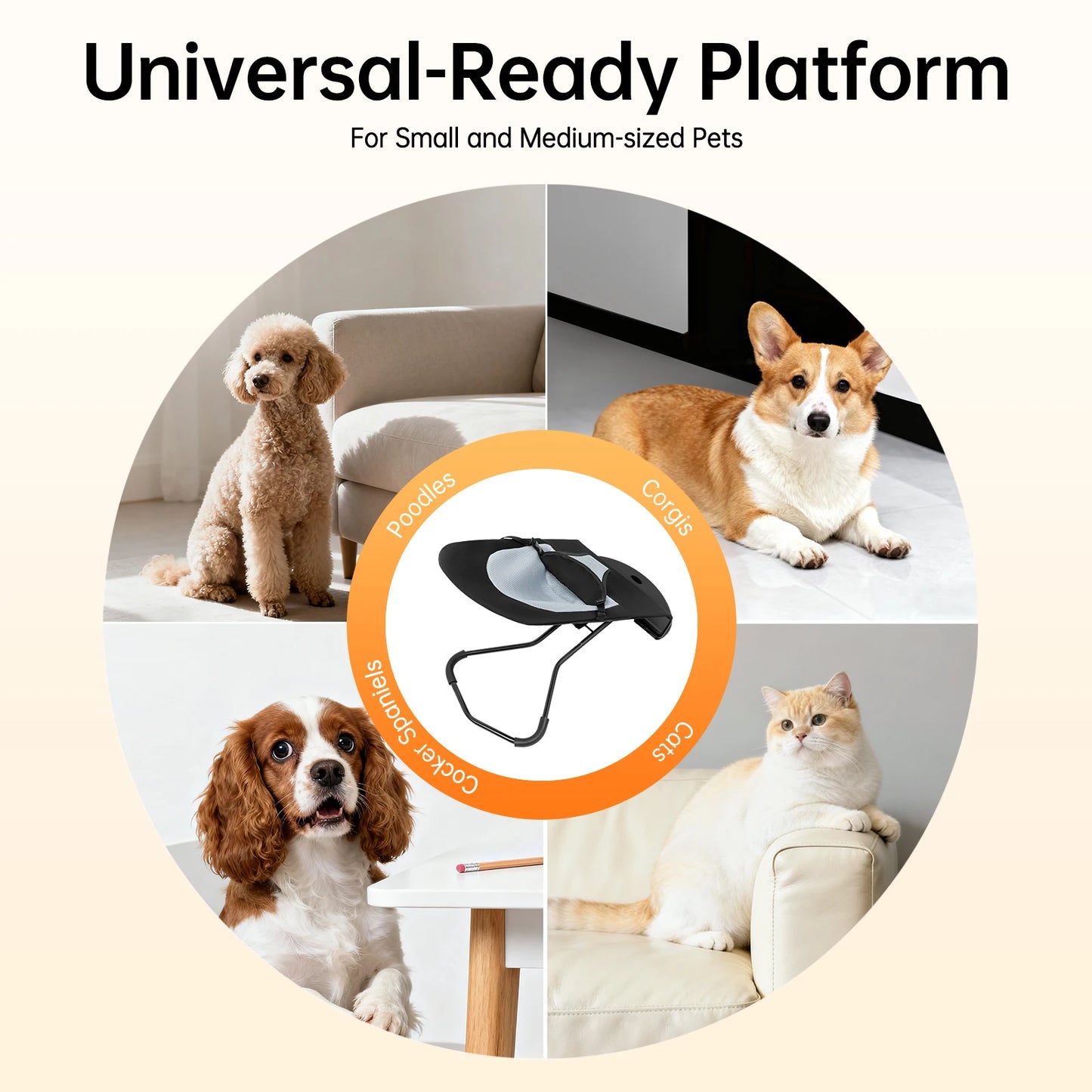 Pet Rocker Bed Foldable Pet Rocking Chair Adjustable Height Puppy Breathable Bed Stainless Steel Bracket Teddy Bulldog Sofa