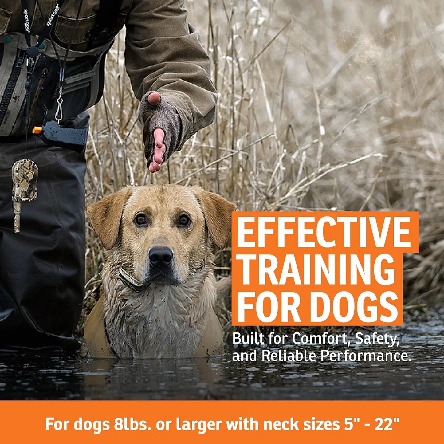 Waterproof Remote Dog Trainer with Rechargeable Collar, Adjustable Fit for Dogs 8+ lbs, 500-Yard Range in Camouflage